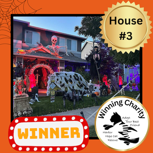 halloween contest winner house 3 harbor hope cat rescue